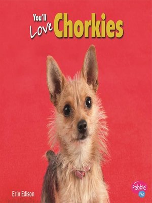 cover image of You'll Love Chorkies